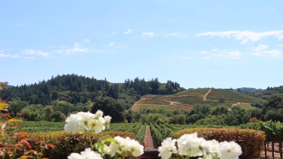 Wine Country Colbert Group