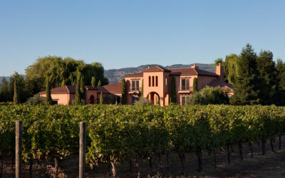 Selling Your Home in Wine Country, California: Sell Now or Wait?