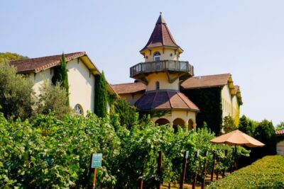 Selling a home with a vineyard, guest house, or ADU in Sonoma or Napa (1)