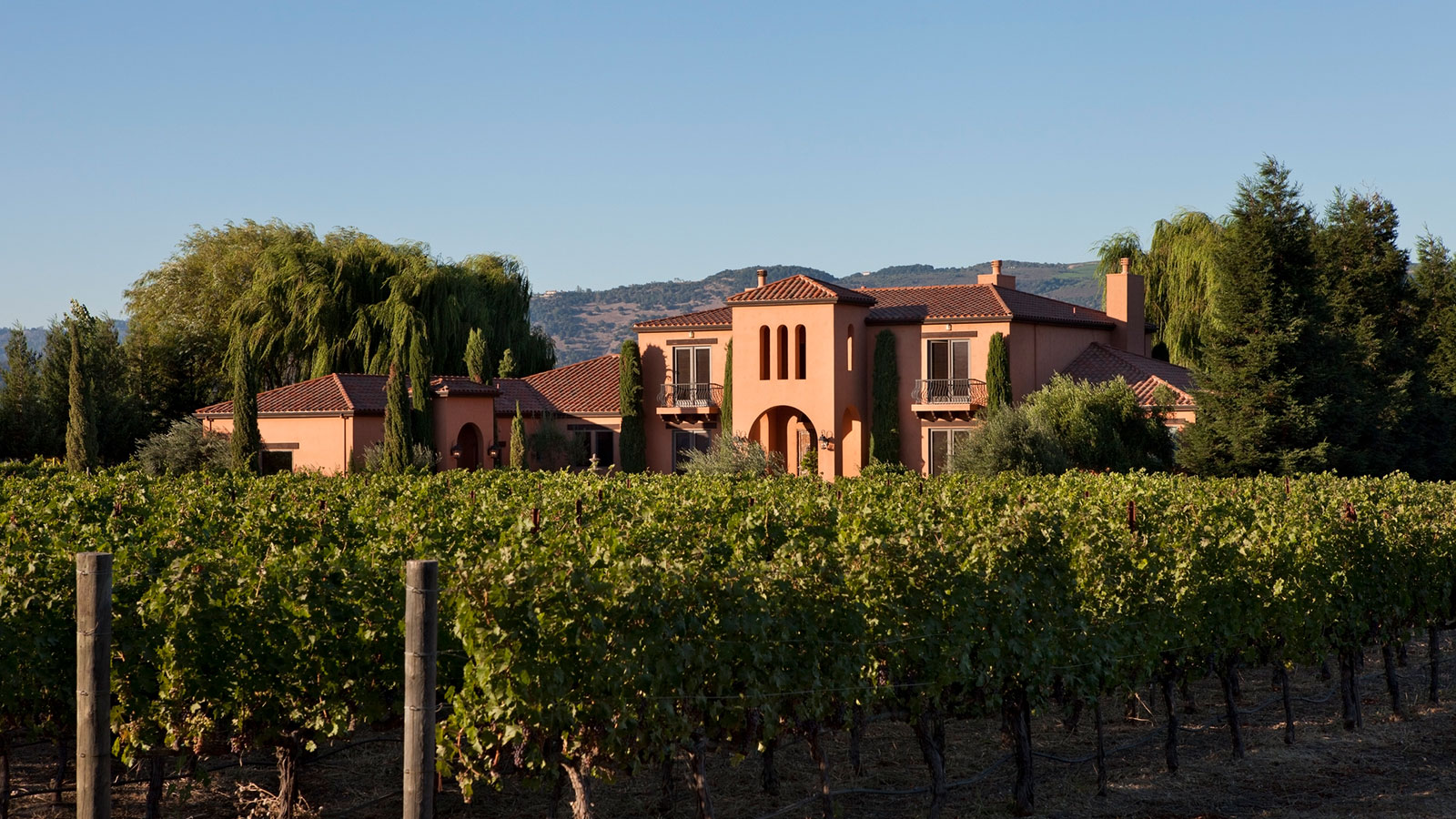 Luxury vineyard estate home surrounded by lush grapevines in Sonoma or Napa Wine Country.